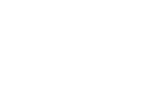 Nexus Energy Systems